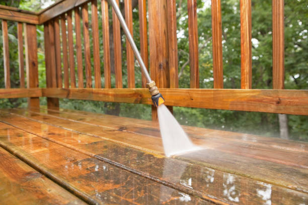 Best Playground Equipment Cleaning  in Myrtle Grove, FL